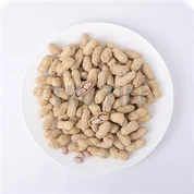 ถั่วลิสงคั่วในเปลือก