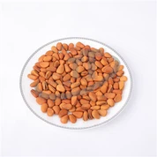 ถั่วไพน์อบ