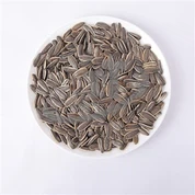 เมล็ดทานตะวันอบเกลือ