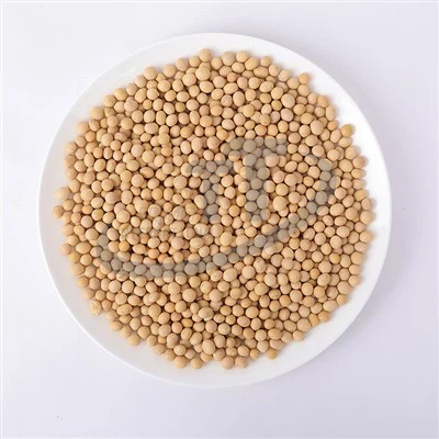 ถั่วเหลือง