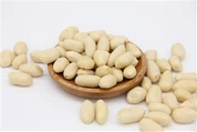 ถั่วลิสงบดหยาบขายส่ง 25/29