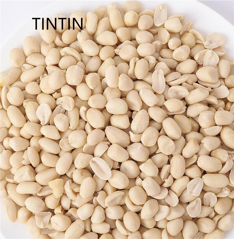 Discount Sale Now New Crop Blanched Peanuts Kernels Discount Sale Now New Crop Blanched Peanuts Kernels