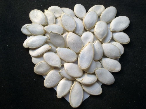 product-1600-1200 product-1600-1200