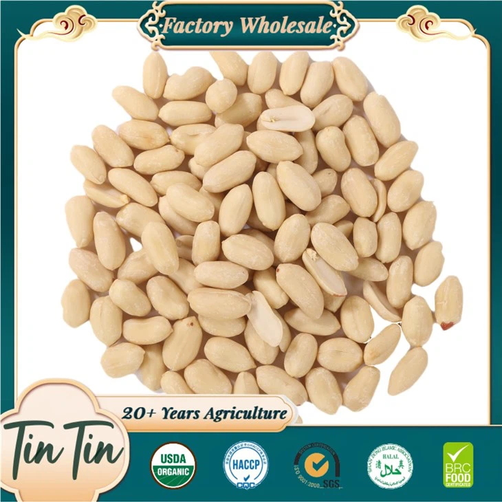 เมล็ดถั่วลิสงลวกคุณภาพดีที่สุดและดีต่อสุขภาพ