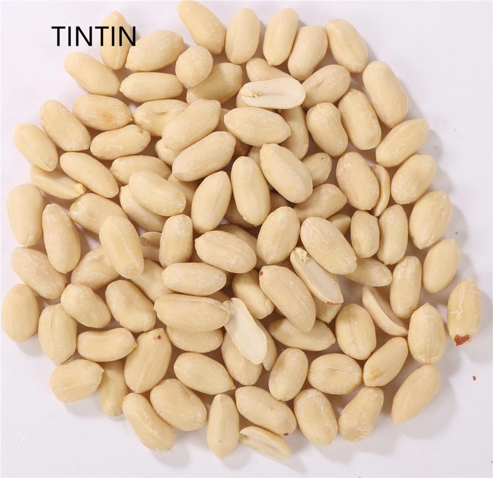 Roasted Peanut Blanched Peanuts PEANUT KERNEL Roasted Peanut Blanched Peanuts PEANUT KERNEL