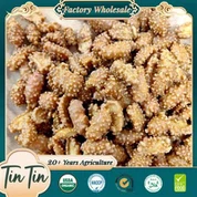 ถั่วลิสงคั่วจีนคุณภาพดี