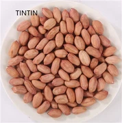 ซัพพลายเออร์เมล็ดถั่วลิสงจีนคุณภาพสูง