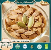 เมล็ดฟักทองเลดี้เล็บ