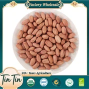 เมล็ดถั่วลิสงใหม่คุณภาพดี